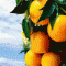 آواتار 07HTlaquanda